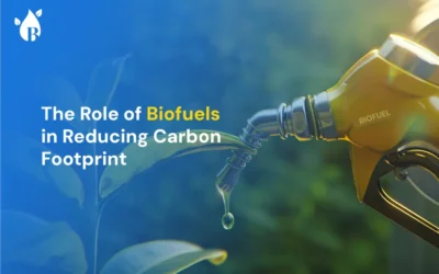 The Role of Biofuels in Reducing Carbon Footprint