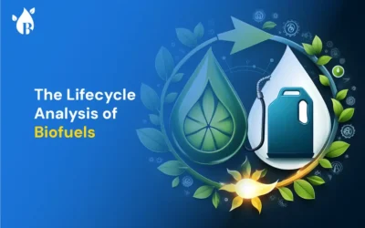 The Lifecycle Analysis of Biofuels