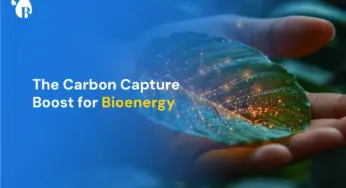 The Carbon Capture Boost for Bioenergy