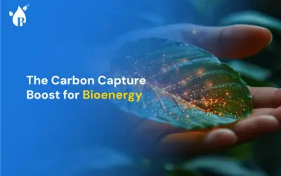 The Carbon Capture Boost for Bioenergy