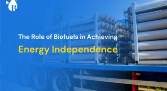 The Role of Biofuels in Achieving Energy Independence