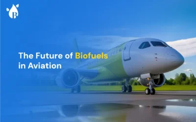 The Future of Biofuels in Aviation