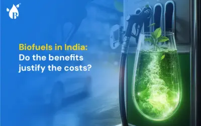 Biofuels in India: Do the benefits justify the costs?