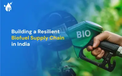 Building a Resilient Biofuel Supply Chain in India