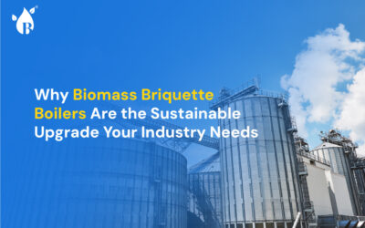 Why Biomass Briquette Boilers Are the Sustainable Upgrade Your Industry Needs