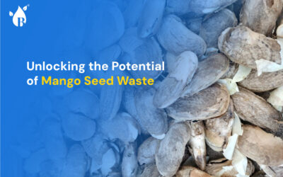 Unlocking the Potential of Mango Seed Waste