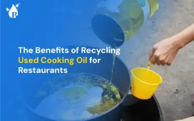The Benefits of Recycling Used Cooking Oil for Restaurants