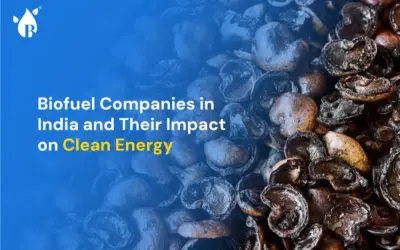 Biofuel Companies in India and Their Impact on Clean Energy