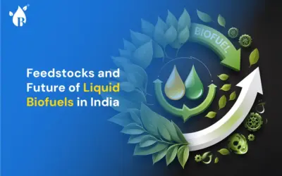 Feedstocks and Future of Liquid Biofuels in India