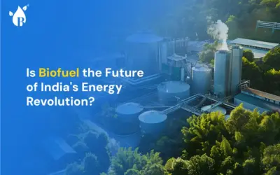 Is Biofuel the Future of India’s Energy Revolution?