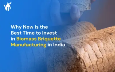 Why Now is the Best Time to Invest in Biomass Briquette Manufacturing in India