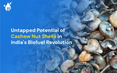 Untapped Potential of Cashew Nut Shells in India’s Biofuel Revolution