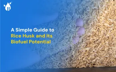 A Simple Guide to Rice Husk and Its Biofuel Potential
