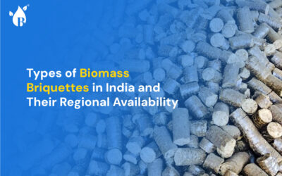 Types of Biomass Briquettes in India and Their Regional Availability