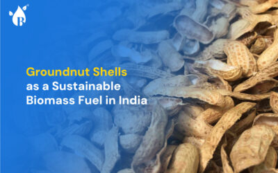 Groundnut shells used as sustainable biomass fuel for biofuel production in India.