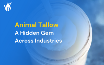 Animal Tallow A Hidden Gem Across Industries