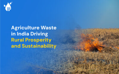 Stubble burning in India: A farmer burning agricultural residue in the fields, contributing to air pollution and environmental concerns.