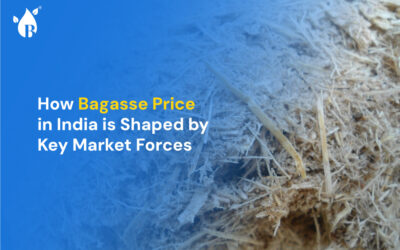 Stacked bagasse piles at a sugar mill in India, highlighting biomass production.