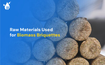 Raw Materials Used for Biomass Briquettes